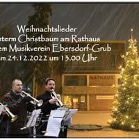 20221224 Weihnachtskonzert Musikverein.jpg
